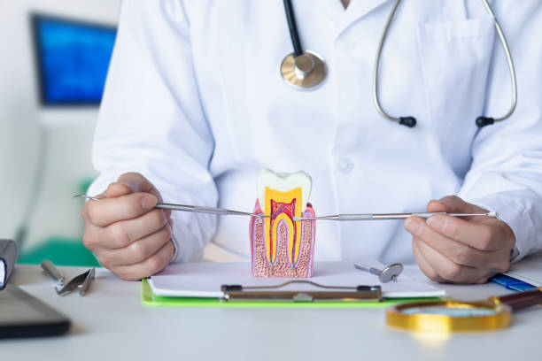 Best Emergency Dental Extractions in Culloden, WV